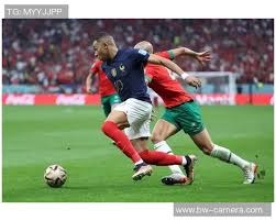 2025 赛季：芝加哥小熊队主帅康塞尔凭借完美的牛棚调度获得年度教练奖