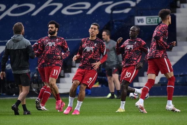 森林狼便展 森林狼便展